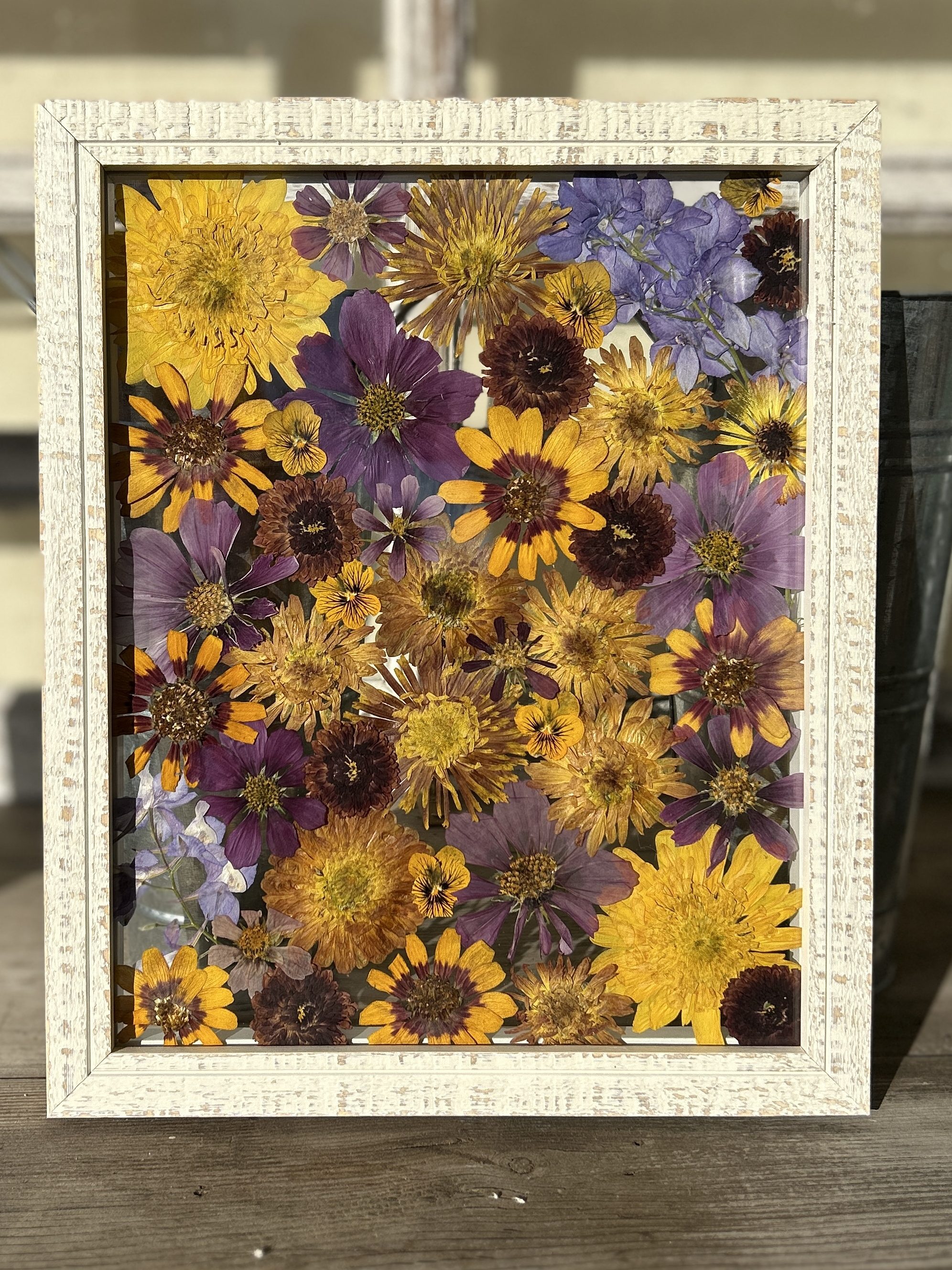 Pressed Flowers Preserved between Glass in an 8X10 Frame