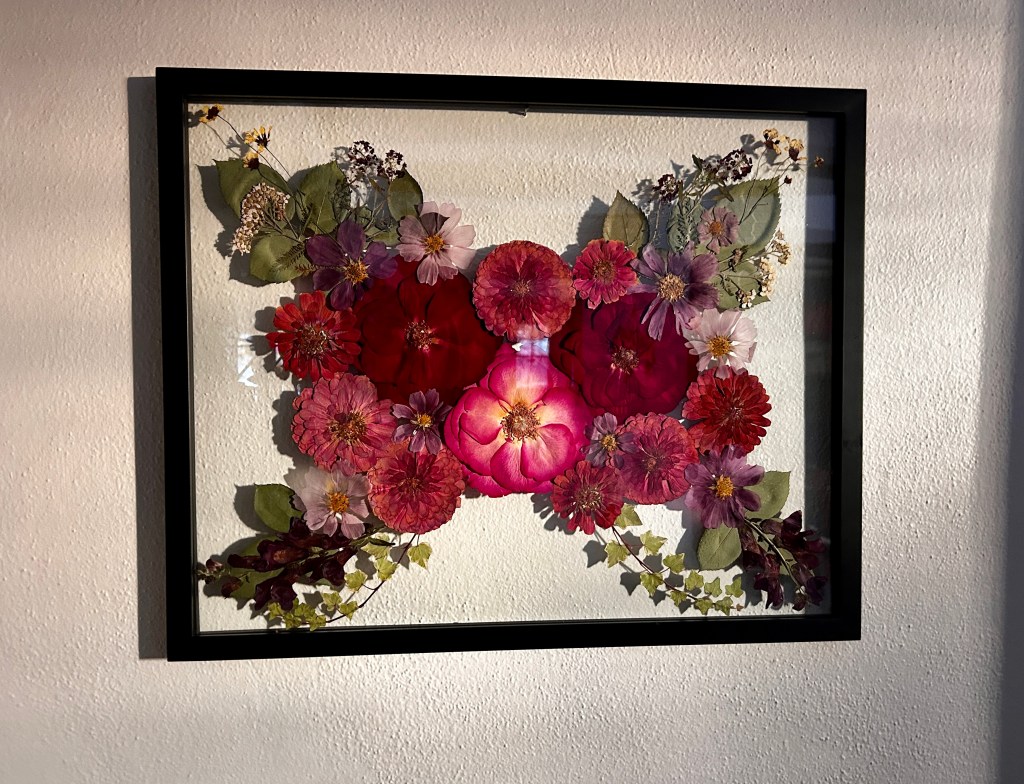 Pressed Flowers Displayed Between Glass in 20 X 24 Frame