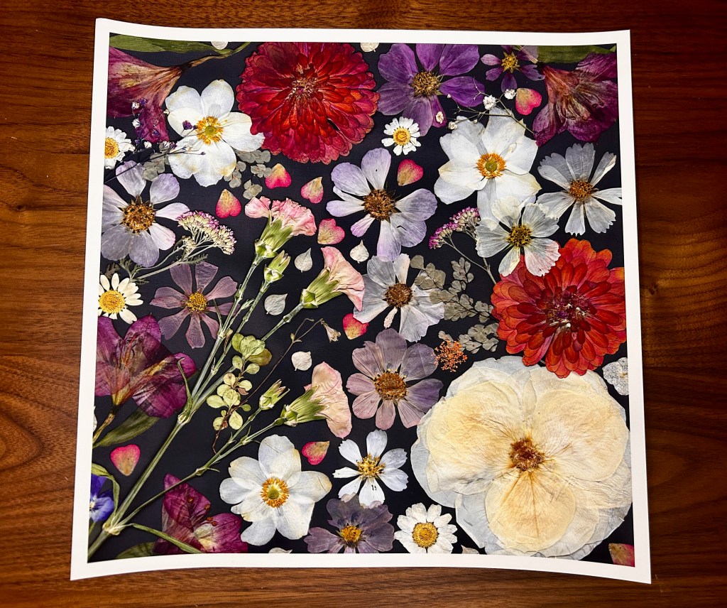 Print of 12 x 12 Pressed Flower Art 