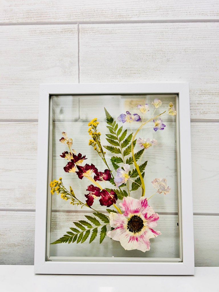 Pressed Flowers Preserved between Glass in an 8X10 Frame